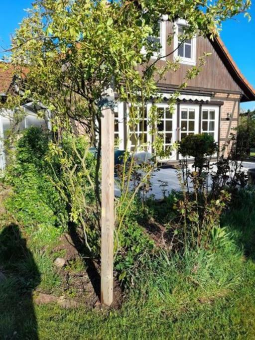 Ferienhaus Gartower See Exterior foto